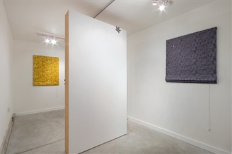 Paul Cowan, Brendan Fowler - Shane Campbell Gallery, Oak Park