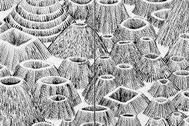 Preview: Alvaro Ilizarbe’s “Surveying” at Martha Otero Gallery