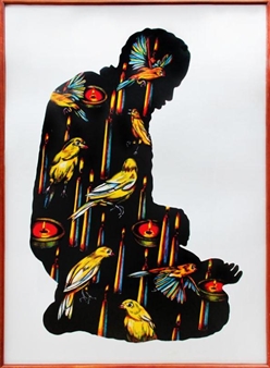 Plates of Light - Grace Graupe-Pillard