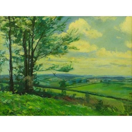 Landscape scene with trees in the foreground, fields and a town in the distance by James Neal