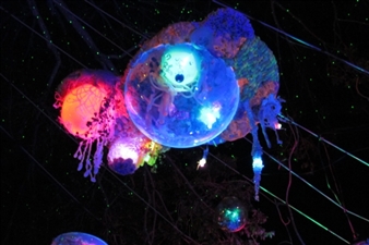 Meow Wolf: Nucleotide - Thomas Robertello