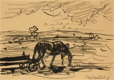 Horse in a Field by Vojtěch Sedláček, 1951