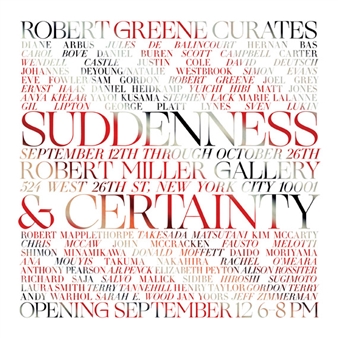 Suddenness + Certainty - Robert Miller Gallery