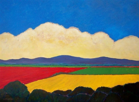 Mixed Fields by David J. Edwards