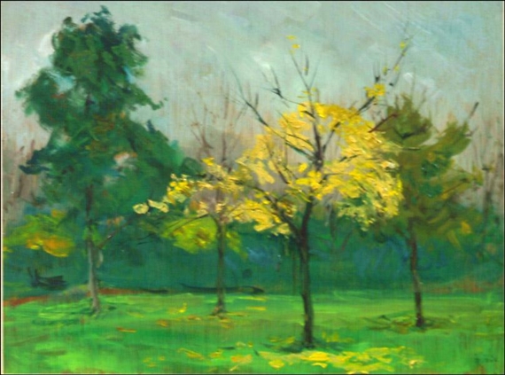 Trees In The Fall by Zivko Zic