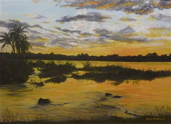 South African swollen River at Sunset - Henny Dickenson