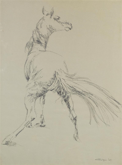 Study of Horse