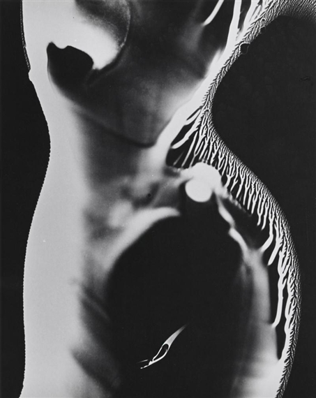 Nude Photogram by Wynn Bullock, 1969-1970
