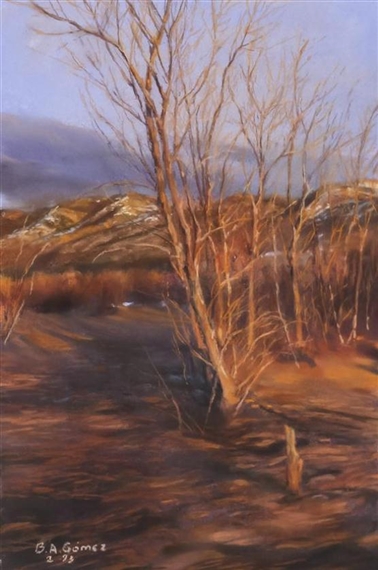 Cottonwoods, Medano Creek by Bruce A. Gomez, 1993