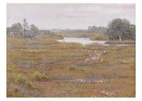 Field by Yoshinobu Minami