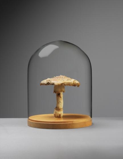 Amanita Muscaria #16 by Roxy Paine, 2005