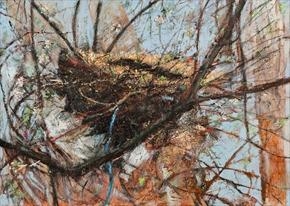 BIRDS MAKE THEIR NESTS OUT OF ALL SORTS OF THINGS by Kate Hajducka