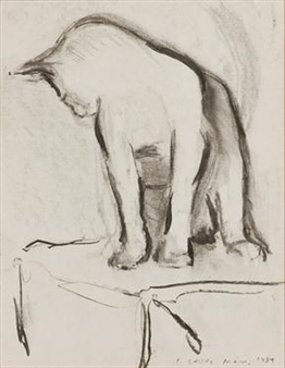 MAIN CAT ON TOP OF CARDBOARD BOX - I. Lesley