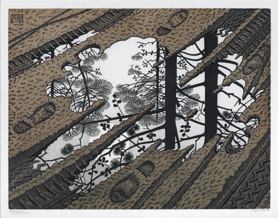 The Puddle (B. 378) by Maurits Cornelis Escher, 1952