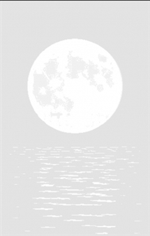 Apel 15 - Gallery Apel