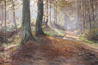 A path through the woods - Paul Dillens