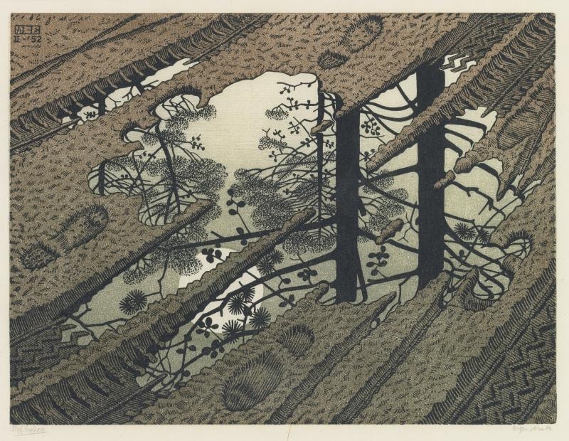 Artwork by Maurits Cornelis Escher, PUDDLE (B./K./L./W. 378), Made of Woodcut printed in black, green and brown