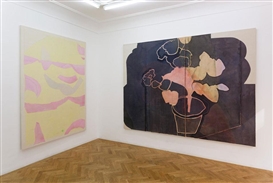 Solo show of new work by Ali Silverstein opens at Bischoff/Weiss
