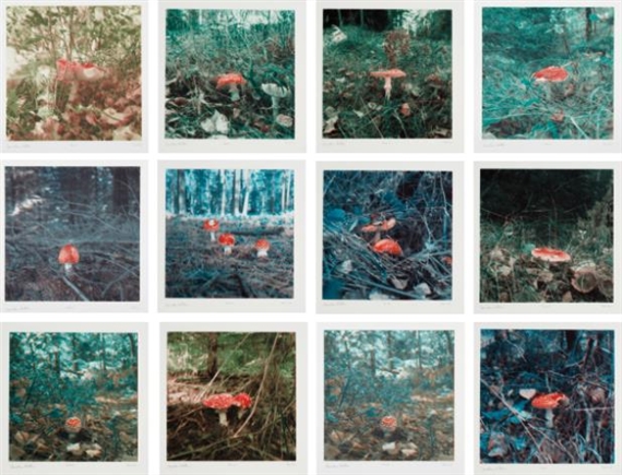 (12) Mushroom by Carsten Höller, 2004