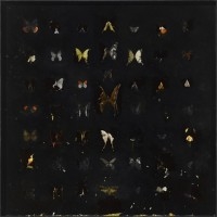 Nicola Samori: Guarigione dell'ossesso - Christian Ehrentraut