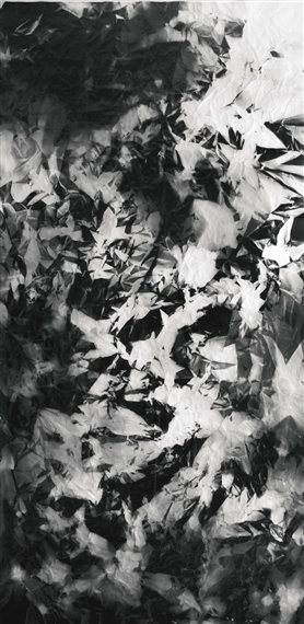 PICTURE MADE BY MY HAND WITH THE ASSISTANCE OF LIGHT by Walead Beshty, 2011