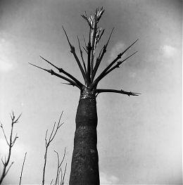 The Spaces Between - Morris and Helen Belkin Art Gallery