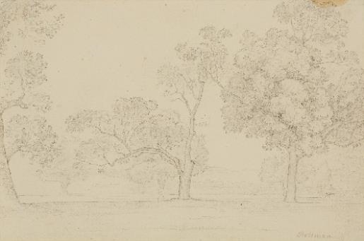 4 Works: A Park Landscape; Panoramic Landscape with Groups of Trees at the Sides; Female Figure with her Head Covered; View of a Meadow Surrounded by Trees, with a View of a Church Spire in the Distance by Carl Rottmann