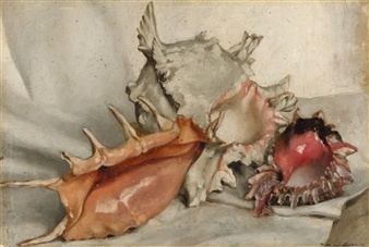 SEESCHNECKEN - Max Wislicenus