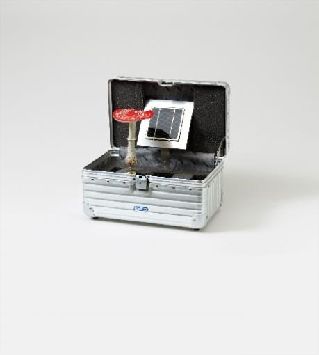 Pilzkoffer (Rot) by Carsten Höller, 1997-2001