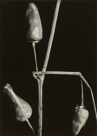 UNTITLED (PAPRIKA) by Aenne Biermann, 1928