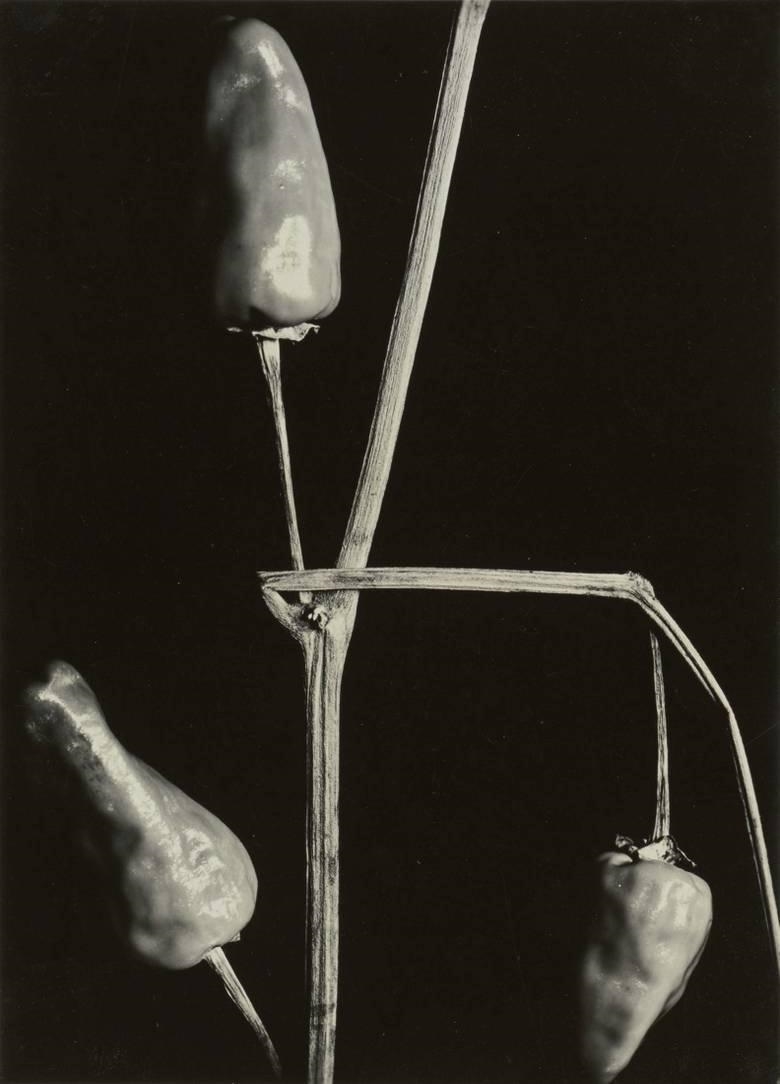 Artwork by Aenne Biermann, UNTITLED (PAPRIKA), Made of Gelatin silver print