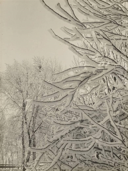 WINTER by Aenne Biermann, 1929