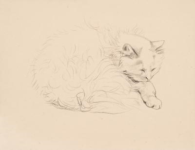 Artwork by Qin Xuanfu, THE PERSIAN CAT, Made of sketch on paper