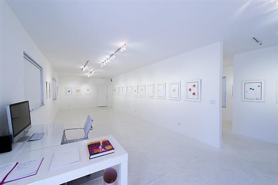 The Meaning of Flowers & Wild Raspberries - Gavlak Gallery, West Palm Beach