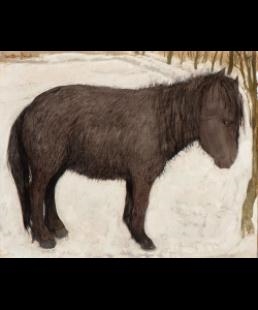 Pony - Willem van Dam