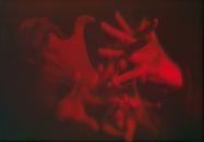 Artwork by Lin Shu-Min, Dexter, Made of Hologram