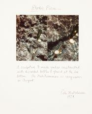 Peter Hutchinson | 1 Four Part Thrown Rope Piece (1980) | MutualArt