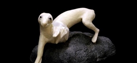 Art Review: Misty Keasler’s Haunting, Evocative Photographs Turn Taxidermy Into Art