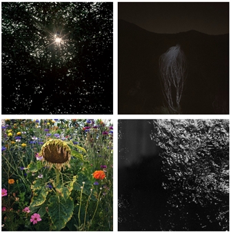 Influenced by the Sun - Cohen Gallery