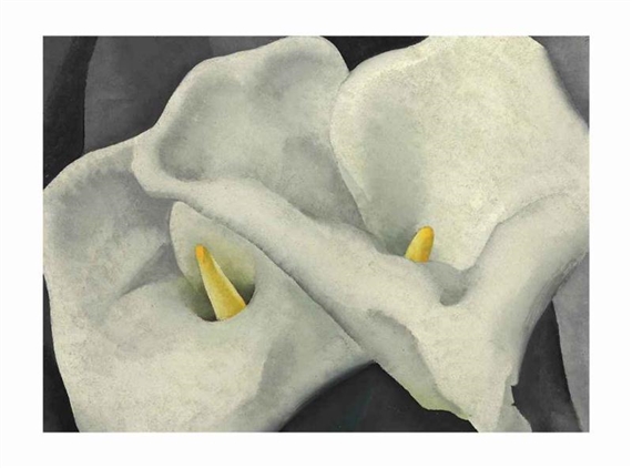 Two Calla Lilies by Georgia O'Keeffe, circa 1925-1926