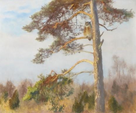 Uv i tall by Bruno Liljefors, 1930