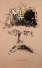 Speleothem - Amanda Mitsuri