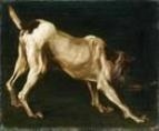 Portrait of a dog by Pieter Boel