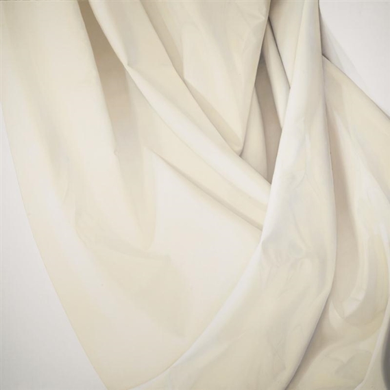 SHIFT by Alison Watt