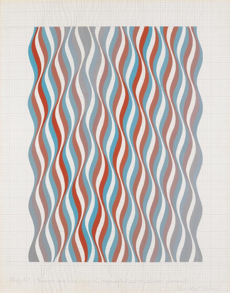 Bridget Riley | STUDY (1967) | MutualArt