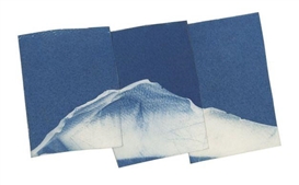 Sean McFarland: Polaroid pictures medium for landscape art