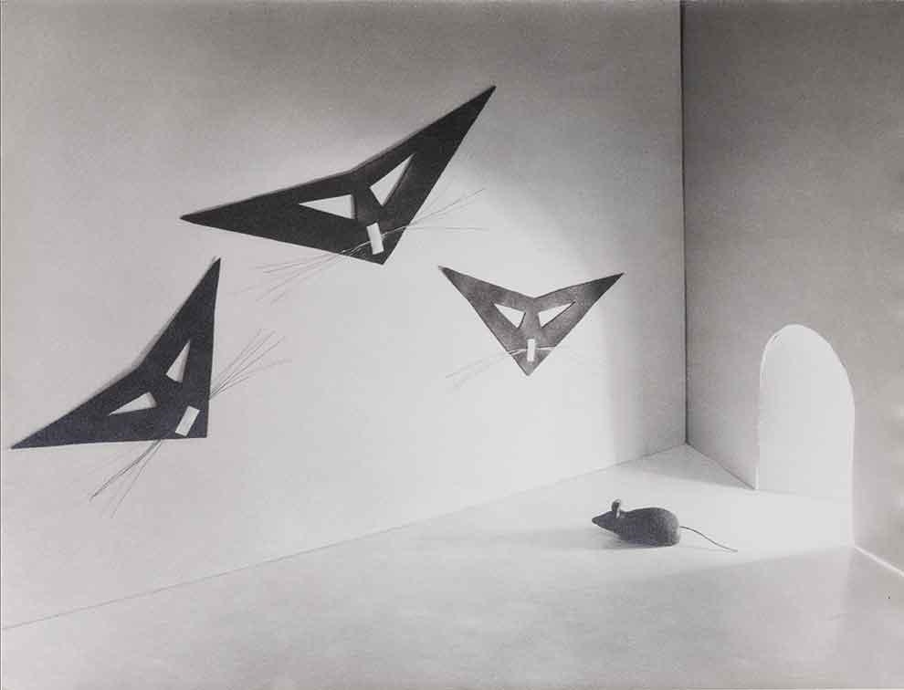 Artwork by Riccardo Gilardi, L'incubo del topolino, Made of Vintage gelatin silver print