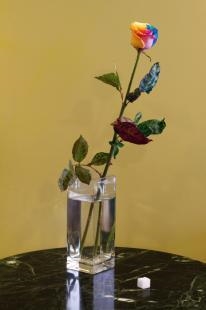 Vilnius Pavilion - National Centre for Contemporary Arts, Moscow