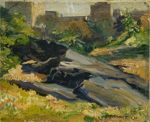 Rocks In Central Park Manhattan Schist New York - Hans Kownatzki