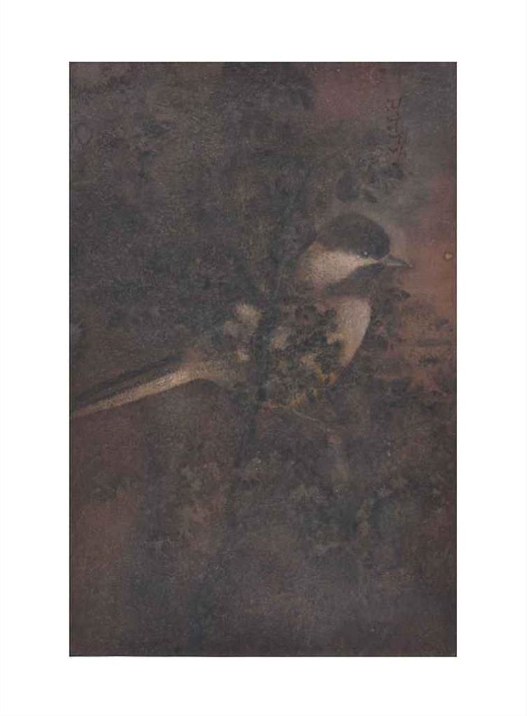 Untitled (Bird on Tree) by Abanindranath Tagore, 1930